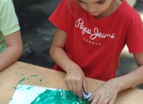 Лекарственные растения