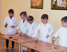 "Юные исследователи"