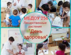 Неделя спорта и здоровья