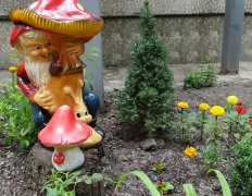 Летний субботник